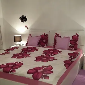 https://apartment-doni-rijeka.primorje-gorskikotar.com